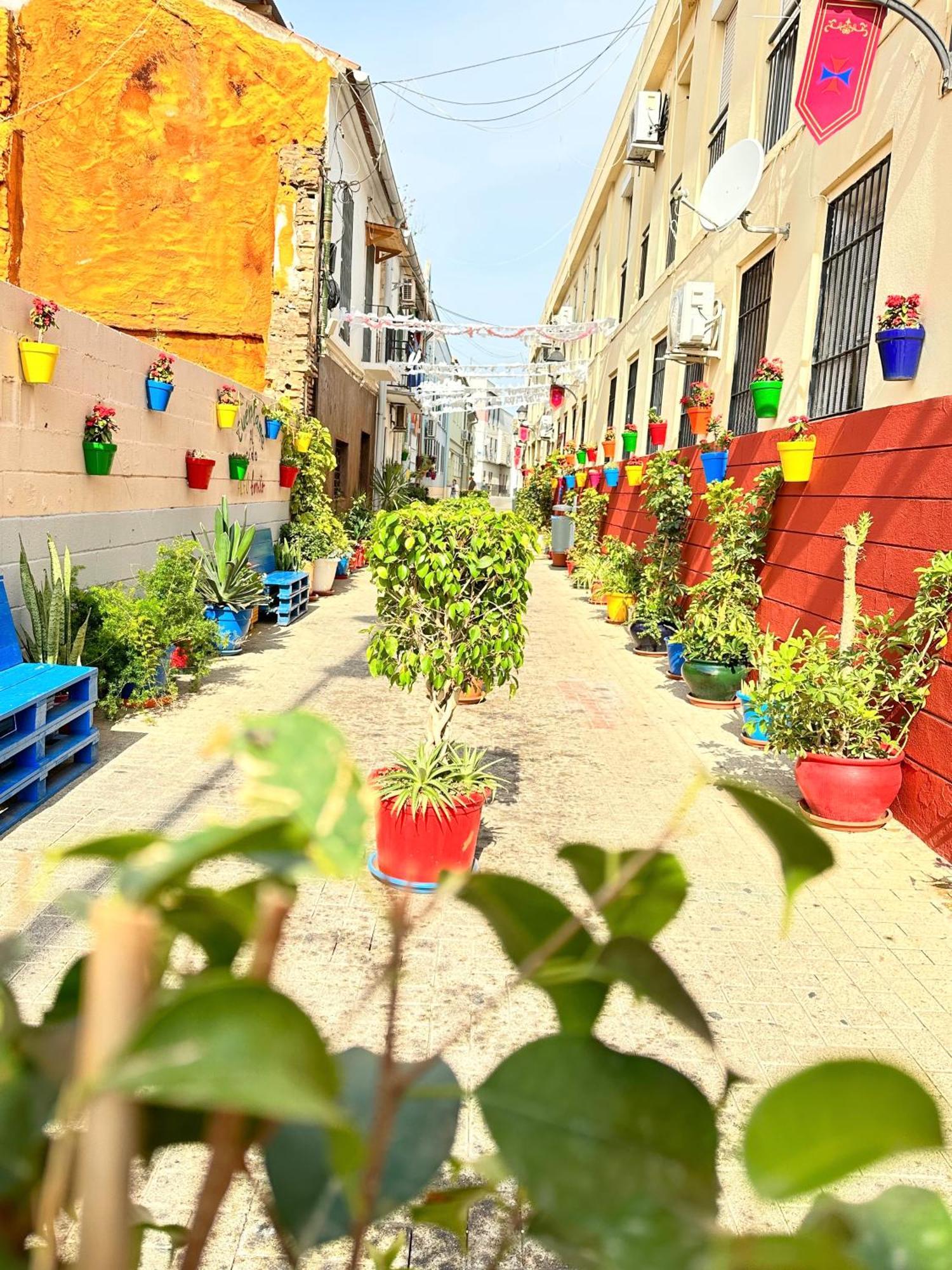 מאלגה Jara Apartments ! מראה חיצוני תמונה